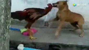 娱乐新闻 第4页