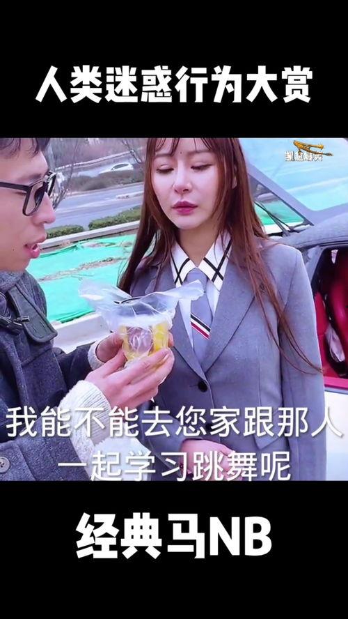 老马视频,揭秘生活智慧，畅享趣味时光