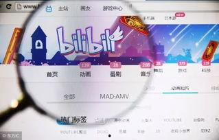 b站视频源,探寻内容创作的魅力与奥秘