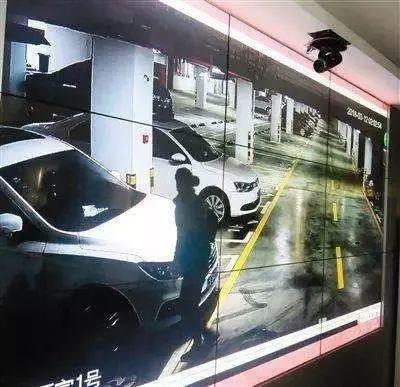亲热视频车,一场视觉与情感的独特之旅