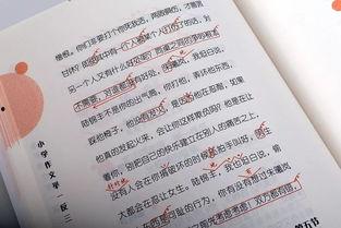 管建刚作文教学视频,揭秘高效作文教学的秘诀